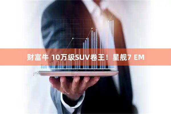 财富牛 10万级SUV卷王！星舰7 EM