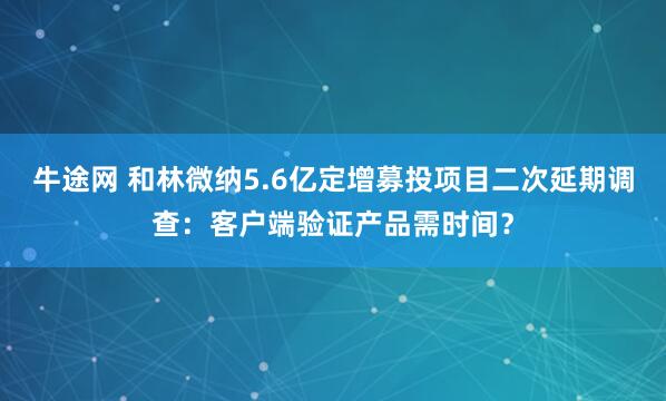 牛途网 和林微纳5.6亿定增募投项目二次延期调查：客户端验证产品需时间？