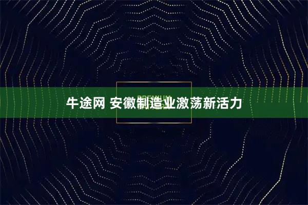 牛途网 安徽制造业激荡新活力