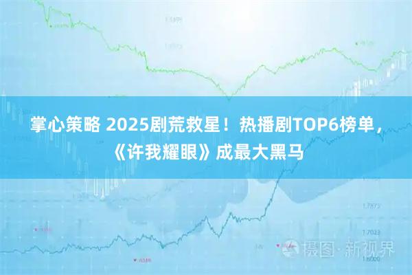 掌心策略 2025剧荒救星！热播剧TOP6榜单，《许我耀眼》成最大黑马
