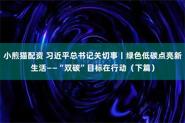 小煎猫配资 习近平总书记关切事丨绿色低碳点亮新生活——“双碳”目标在行动（下篇）