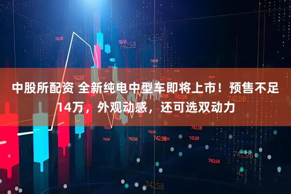 中股所配资 全新纯电中型车即将上市！预售不足14万，外观动感，还可选双动力